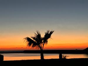 eine Palme am Strand bei Sonnenuntergang in der Unterkunft グッドラックスタービーチ in Hamada