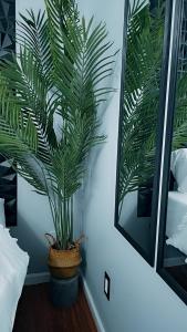 a plant in a pot in a room with a mirror at Gallé Fulbé - Hidden Luxury in Detroit