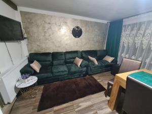 a living room with a green couch and a table at Cabana Busuioc in Colibiţa