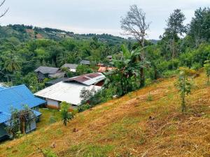 a house on the side of a hill at บ้านเขาค้อคุณย่า in Khao Kho