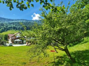 a tree in a field next to a house at Casa Rares Toc in Vidra