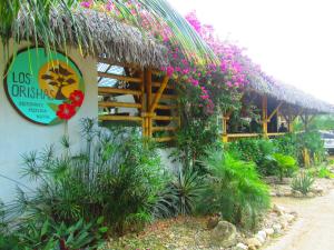 Aed väljaspool majutusasutust Hostal Los Orishas