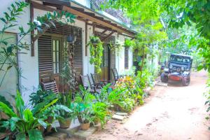 Garður fyrir utan The Sigiriya Rock Hostel