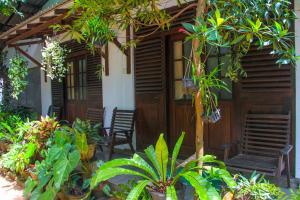 Garður fyrir utan The Sigiriya Rock Hostel