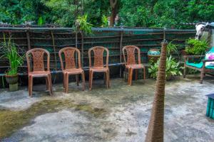 Garður fyrir utan The Sigiriya Rock Hostel