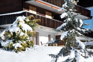 Το MOM - Alpine Boutique Apartments, Grindelwald gletscher, Eiger View Terrace Studio τον χειμώνα