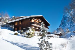 Το MOM - Alpine Boutique Apartments, Grindelwald gletscher, Eiger View Terrace Studio τον χειμώνα