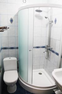 a bathroom with a shower and a toilet and a sink at VitaPark Solnechniy Provans in Satanov