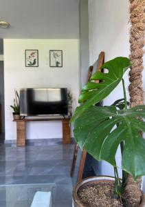 Et tv og/eller underholdning på Amazon house