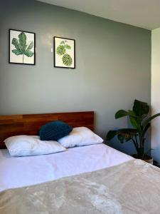 En eller flere senge i et værelse på Amazon house