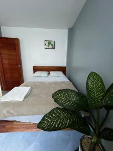 En eller flere senge i et værelse på Amazon house