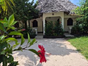 Zahrada ubytování Ellavita Cottages Nungwi