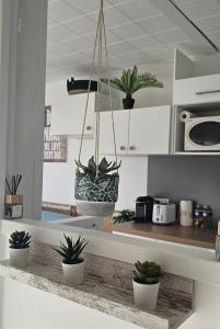 a kitchen with potted plants on a counter at Studio 2 personnes Vue Mer Climatisé Linge Maison in Le Lavandou