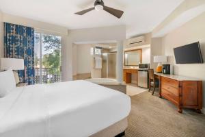 Sjónvarps- og/eða afþreyingartæki á Hilton Vacation Club Cypress Pointe Orlando
