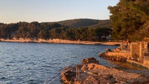 a view of a body of water with at Apartment seafront Juraj in Tribunj