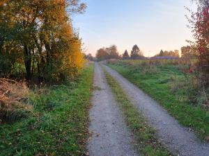 Příroda nedaleko apartmánu + 11 fotografií