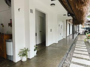 a hallway of a building with potted plants on the floor at Pig Dive Hostel Moalboal in Moalboal