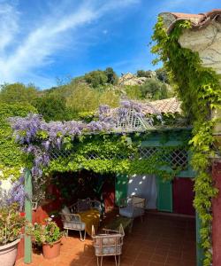 SantʼAntoninoにあるVilla Catalinaのパティオにある紫色の花と植物が飾られたパーゴラ