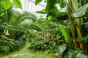 Guilin Red Roof Garden Resort -On the way to Yangshuo外面的花园