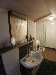 Koupelna v ubytování Ferienwohnung Gerstmann + 23 fotografií