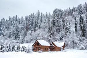 a log cabin in a snow covered field with trees at Mayak Chalet Resort Mykulychyn in Mykulychyn +18 photos
