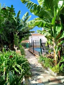 a house with a fence and a yard with plants at El Jardin BeNerja in Nerja