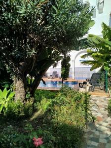a tree in a garden with a bench in the background at El Jardin BeNerja in Nerja