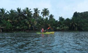 Φωτογραφία από το άλμπουμ του Kampify kochi στο Κοτσί