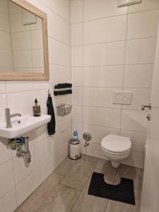 un bagno con un water e un lavandino di Altmünster mit Traunsteinblick ad Altmünster