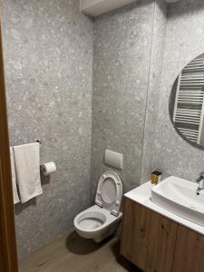 a bathroom with a toilet and a sink and a mirror at Apartman A55 Aparthotel Vučko privatni apartman in Jahorina
