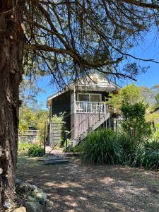 Un jardín fuera de Wyobie Kangaroo Valley Treehouse