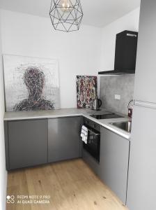 une cuisine avec un évier et un réfrigérateur dans l'établissement Blumental, à Staré Mesto 4 autres photos