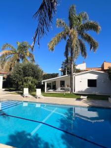 a villa with a palm tree and a swimming pool at Domus Orestea Luxury Suites in Palermo
