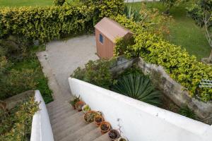 a set of stairs with potted plants on them at Alfazema Alojamento Local in Angra do Heroísmo