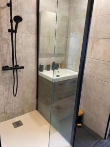 a bathroom with a shower and a sink at Au petit bonheur imprévu in Douai +25 photos