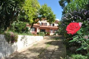a garden with a house and a red rose at Villa Vallereale giardino e piscina uso esclusivo in Itri