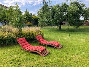 three red chairs sitting in the grass in a field at Hof Appelbue - Urlaub in zwei Ferienwohnungen im Storchendorf Bergenhusen in Bergenhusen