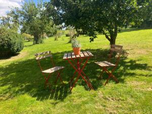 two chairs and a table with a potted plant on it at Hof Appelbue - Urlaub in zwei Ferienwohnungen im Storchendorf Bergenhusen in Bergenhusen +36 photos