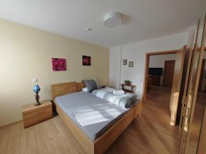 Postel nebo postele na pokoji v ubytování Apartment E2 - Gut ausgestattete 3-Zimmerwohnung 64 qm, für 1-3 Personen 1 DZ 1EZ
