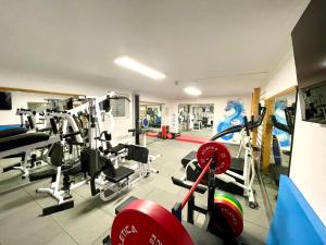 Fitness centrum a/nebo fitness zařízení v ubytování Naturhotel Reissenlehen
