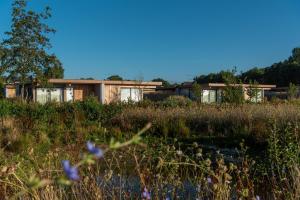 a house in the middle of a field at Garden Suites with private Jacuzzi in Burgh Haamstede