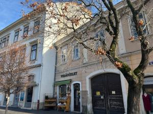 Fotografie z fotogalerie ubytování Filip Apartman v destinaci Sopron + 7 fotografií