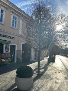 Fotografie z fotogalerie ubytování Filip Apartman v destinaci Sopron