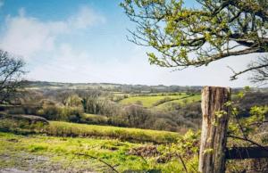 Příroda nedaleko prázdninového domu + 2 fotografie