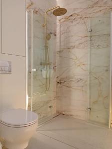 a bathroom with a toilet and a glass shower at Klonowa 4 4 in Kamienna Góra +12 photos