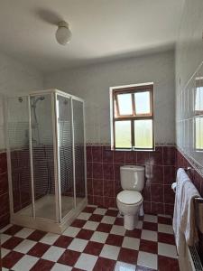 a bathroom with a toilet and a shower and a window at Meadow View in Gortatlea Junction +43 photos