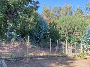 a fence in front of a bunch of trees at Cabaña el descanso in Pelluhue