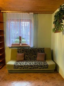a green couch sitting in a room with a window at Domek w Kotkowie nad jeziorem Gil in Kotkowo