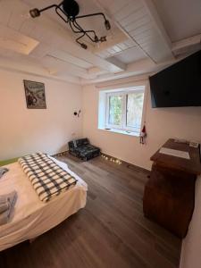 Galeriebild der Unterkunft The LODGE, separate apartment in a vila, with floor heating, groundfloor in Sinaia