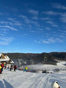Fotografie z fotogalerie ubytování Całoroczne Domki Góralskie Kluszkowce-Czorsztyn v destinaci Kluszkowce